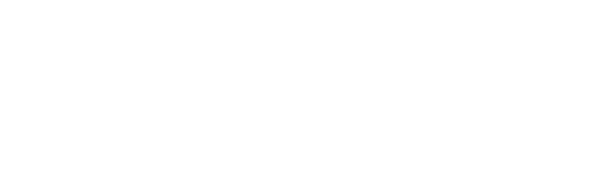 Pitbull Traders Logo